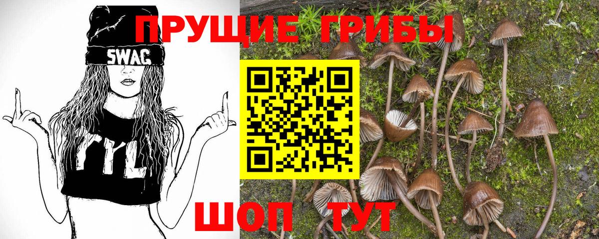 Шадринск  Галлюциногенные грибы MAGIC MUSHROOMS  Вход с VPN 